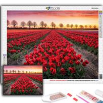 Popular 5D Diy Cross Stitch Flowers Tulips Painting Full Drill Cross-Stitch Crafts Kit Wall Sticker Home Decor Full Square 20X30CM red