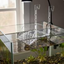 Acrylic Turtle Basking Dock Clear Construction Hanging Easy to Clean Tortoise S gray