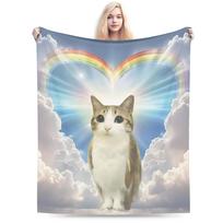 Miau Mėmė Pūkuotas pledas Katė Pelėda Smegenų puvinys 90-ųjų Naujovė Mėtomasis pledas Sofai Lovai Svetainei 200x150cm Antklodės Size: 75*100cm, Weight: 230 GSM gray