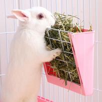 Rabbit Hay Feeder Cage Hay Dispenser Easy Installation Keeps Supplies Hay Holder rožinė