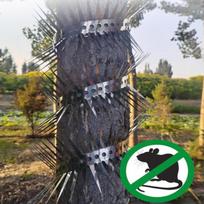 40In Anti-Bird Spikes Entangle Balcony Eave Sills Anti Pigeon Spikes Stainless Steel Garden Fence Avoided Climbing Metal Fence onesize black