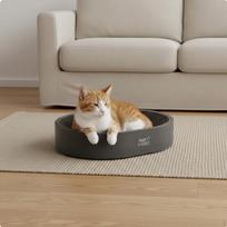 Cardboard Cat Scratcher Bed Less Mess Design Corrugated Scratching Bowl Construction juoda