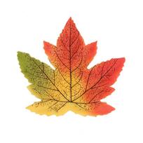 50 vnt. Rudens dirbtinių klevo lapų Padėkos dienai, vestuvių dekoracijoms, festivalių renginiams red