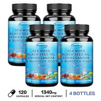 Sea Moss Black Seed Ashwagandha Burdock Root Capsules 120 Count — Daily Wellness, Nutritional Support, Mineral Support 120*4