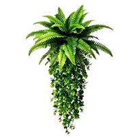 Dirbtiniai kabantys augalai, UV spinduliams atsparūs dirbtiniai vijokliai, dirbtiniai gebenės augalai, lauko dirbtiniai augalai, interjero miegamojo svetainės boho sienų, verandos, lentynos dekoras