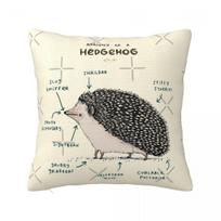 Anatomy Of A Hedgehog Cushion Ornamental Pillows Cushion Cover 45*45 Pillow Case Pillow Cover 12x12Inch beige