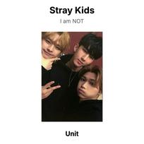 Stray Kids I am NOT Oficiali nuotraukų kortelė Unit 05