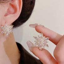 Women's Accessories Sari Light Snowflake Earrings