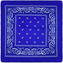 Lauko dviračių sportas 53 cm medvilninė kvadratinė skarelė moterims vyrams Paisley rašto HipHop bandanos šalikai galvos juosta nosinė plaukų kaukė 53x53cm blue