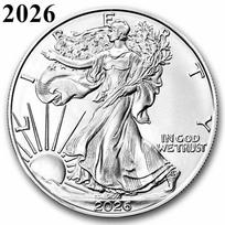Laisvės statula 2024 Sidabrinis erelis doleris Proginė moneta medalis gray