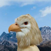 Helovino Varnos Kaukė COS Juokinga Paukščio Erelio Galvos Kaukė Lateksinė Pilno Veido Siaubo Vakarėlio Kostiumo Rekvizitas Beige eagle