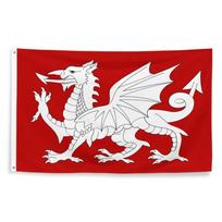 1pc Multi-Size Optional White Dragon Anglo-Saxon Flag | Anglo-Saxon English Flag - English History 1066 Battle of Hastings Flag Gift 90x150cm