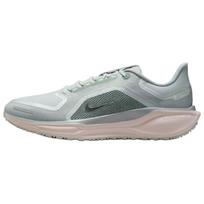 Nike Air Zoom Pegasus 41 GORE-TEX Šviesus Pumikas Vyriški Bėgimo Bateliai Ruda Spalva Grynas-Platinos Spalva Silt-Raudona FQ1356-007 44 gray