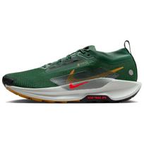 Nike Pegasus Trail 5 GORE-TEX FQ0908-301 44