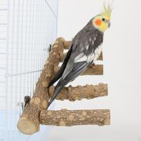 Bird Parrot Ladder Perch Perches Platform Durable Wood Bridge for Parrots gray
