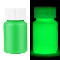 20g/30g buteliukas Fluorescenciniai pigmentai Ilgai išliekantys šviečiantys dažai Automobiliai Švytėjimas Tamsioje akriliniai dažai Meniniams darbams Šventiniai reikmenys 20g black