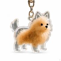 Mielas šuns plaukų atminimo kapsulės pakabukas Skaidri augintinio kailio laikymo dėžutė New Pomeranian A beige