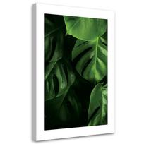 Canvas print, Monstera leaves water drops 40x60 žalia