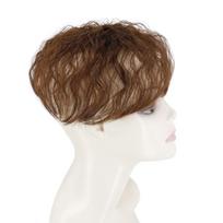 LISI HAIR Moterų trumpų garbanotų plaukų priauginimas sintetinio pluošto plaukų apdangalas pilkiems plaukams ir plaukų slinkimui natūraliai juodai rudai blondinai naudoti kasdien 2-30 brown