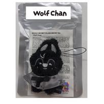 Stray Kids Skzoo Secret Plush Micro Ver  - Run it