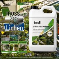 Algae & Moss Remover: Green Cleaner for Cement, Pools, Fish Tanks, & Bathrooms gray