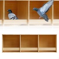 Papūgėlės Paukščių Veisimosi Dėžė Balandžių Narvas Namelis Medinis Papūgos Lizdo Namelis Kanarėlėms Kanarams 3 Grids 90cmx30cm white