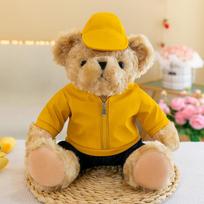 Plush toy gift teddy bear 25Cm ordinary geltona