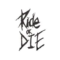 Dviračio rėmo lipdukas Ride Or Die Top Tube lipdukai Dviračių lipdukai Dekoratyviniai rėmo lipdukai Dviračio lipdukai Dviračio lipdukai 1vnt