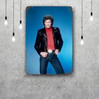 david hasselhoff Metaliniai ženklai sienų dekoras Vintažiniai skardos ženklai Kapitono metalinis plakatas Dekoras barui, užeigai, klubui Sienų dekoracija 20x30cm（7.8x11.8inch）
