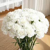5 vnt. Sodo Vestuvių Dekoracija Baltas Gvazdikas Dirbtinių Gėlių Puokštė Namų Kambario Dekoras „Pasidaryk pats“ Vazos Ornamentas Dirbtinė Gėlė White 5pcs beige