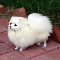 22cm Imitacinis Pomeranijos pliušinis pliušinis žaislas šuns lėlė žaislas rankdarbis namų dekoracija gyvūno modelis dovana vaikams pliušiniai žaislai 22 x 19cm balta