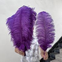Auksinės Natūralios Stručio Plunksnos 15-60cm Purios Plunksnų Puokštės Didmeninė Prekyba 10 VNT Vestuvių Centriniams Elementams Namų Dekoro Sprendimams Šventėms PASIDARYK pats Amatams 15-20cm 10-12inch violetinė