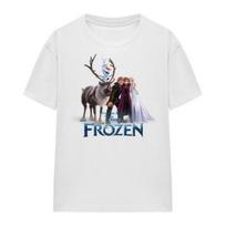 frozen Womens_Ladies Elsa Anna Kristoff Olaf Group Shot T-Shirt XXXL gray