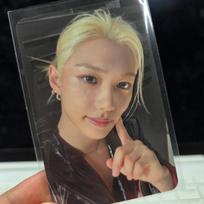 STRAY KIDS SKZ This and That Nettles Mew special gift Felix