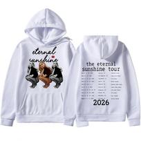 Dainininkės Ariana Grande 2026 m. „Eternal Sunshine“ Pop Hoodies Vyrams Moterims Hip Hop Y2k Ilgomis Rankovėmis Megztiniai Dydeli Fleece Puloveriai S gray