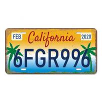 Senovinis plakatas Amerikos valstijų plaketo metalo skardos ženklai Florida Kalifornija Teksasas Havajai Klubo Baras Garažo sienų dekoras 30x15cm yellow
