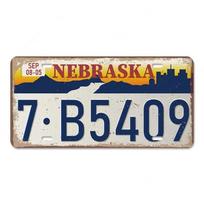 Senovinis plakatas Amerikos valstijų plaketo metalo skardos ženklai Florida Kalifornija Teksasas Havajai Klubo Baras Garažo sienų dekoras 30x15cm