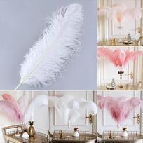 Aukštos kokybės stručio plunksnos rankdarbiams ir vestuvių dekoracijoms (15-80 cm) High-Quality Thin Stem 25-30 cm white