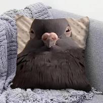 Balandis F-Funny Memas Namų Sofos Pagalvės Užvalkalai Ir Dekoratyvūs Individualūs Pagalvių Užvalkalai Short plush 18*18(CM)-1Pcs