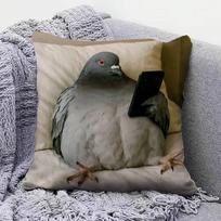 Balandis F-Funny Memas Namų Sofos Pagalvės Užvalkalai Ir Dekoratyvūs Individualūs Pagalvių Užvalkalai Short plush 30*30(CM)-1Pcs