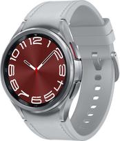 Išmanusis laikrodis Samsung Watch 6 Classic R955 LTE 43mm silver