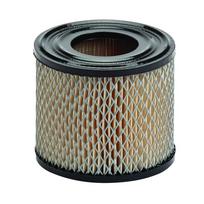 Oro filtras Briggs & Stratton varikliams *393957, *390930