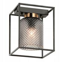 Stiklinis lubinis šviestuvas TOOLIGHT APP1264-1C, juodos ir pilkos spalvos, BLACK GREY METAL