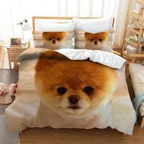 3D Mielas Pomeranijos Špicų Patalynės Komplektas Paaugliams Poliesteris Dvigulė Karalienės Karaliaus Dydis Gyvūnų Šunų Tema AU Single(140x210cm)