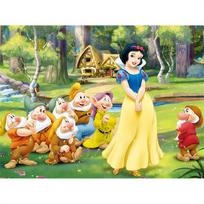 Disney Snieguolė ir septyni nykštukai 5D deimantinė tapyba pilna deimantų pasidaryk pats rankų darbo deimantinė tapyba animacinis dekoratyvinis tapybos rinkinys Round 50x70cm