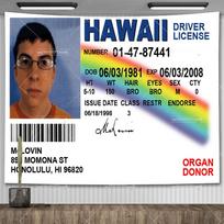 McLovin ID kortelė Vėliava Padirbtas vairuotojo pažymėjimas Vėliavos Sieninė gobelenas Juokingi memų gobelenai Miegamojo estetiniam kambario dekoravimui 100X70CM gray