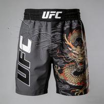2026 Nauji UFC MMA Kovos Sanda Muay Thai Treniruočių Greitai Džiūstantys Šortai Retro Drakono Rašto MMA Fitneso Šortai L gray