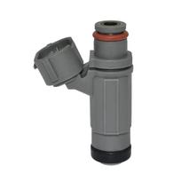 Fuel injection nozzle EAT256