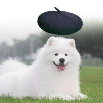 Pet Dog Beret Wool Yard Hat Dog Decoration Hat Comfortable Costume Durable juoda