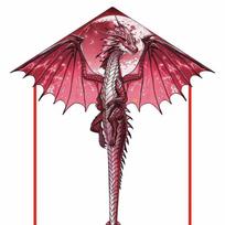 1 vnt. 1,4 m didelis drakono aitvaras vaikams ir suaugusiems, didžiulis pterodaktilio aitvaras su uodega, lengvai skraidantis aitvaras, lauko žaislas pink